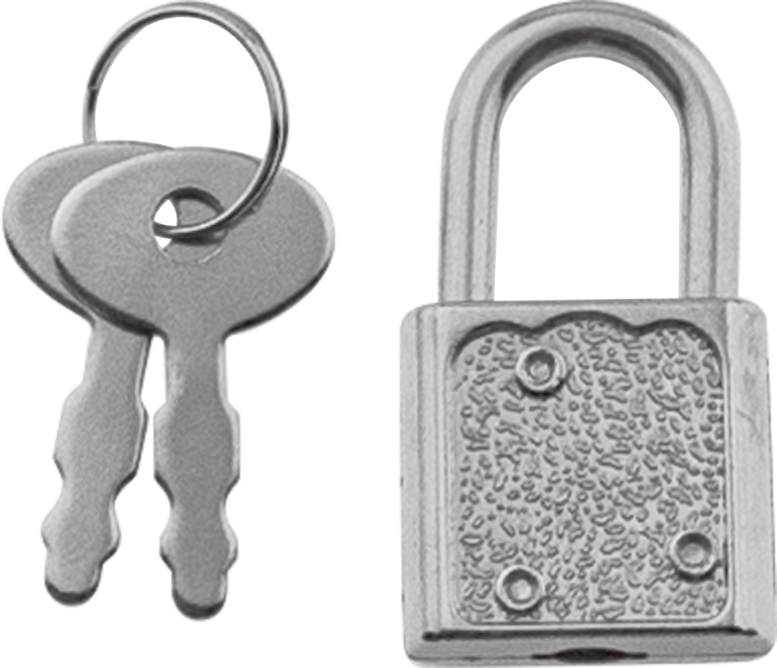Silver Padlock and Keys