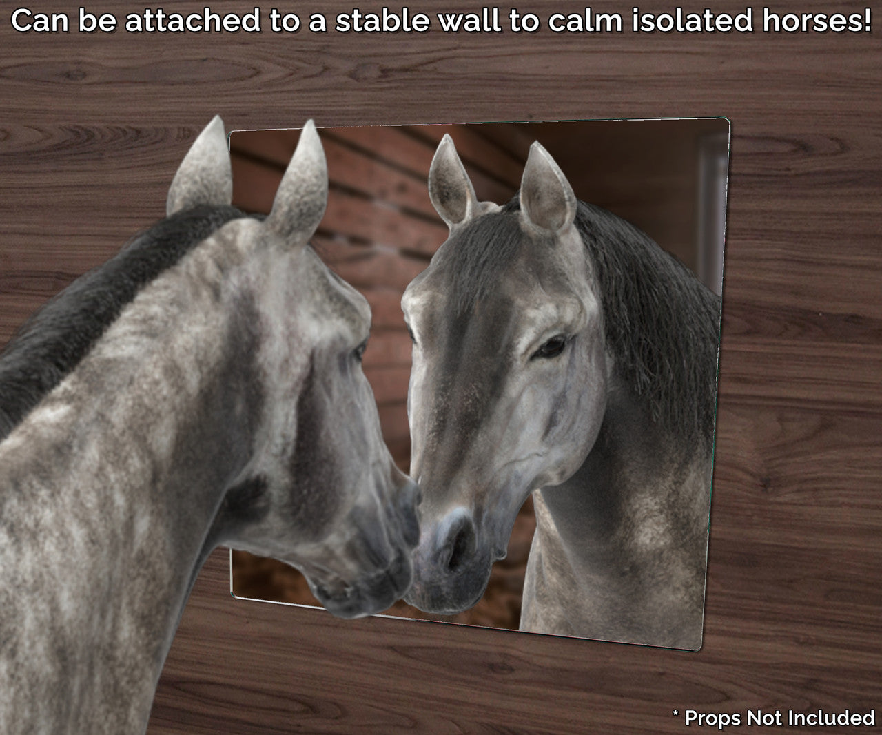 9" x 9" Acrylic Mirror Sheet for Replacement or DIY Crafts