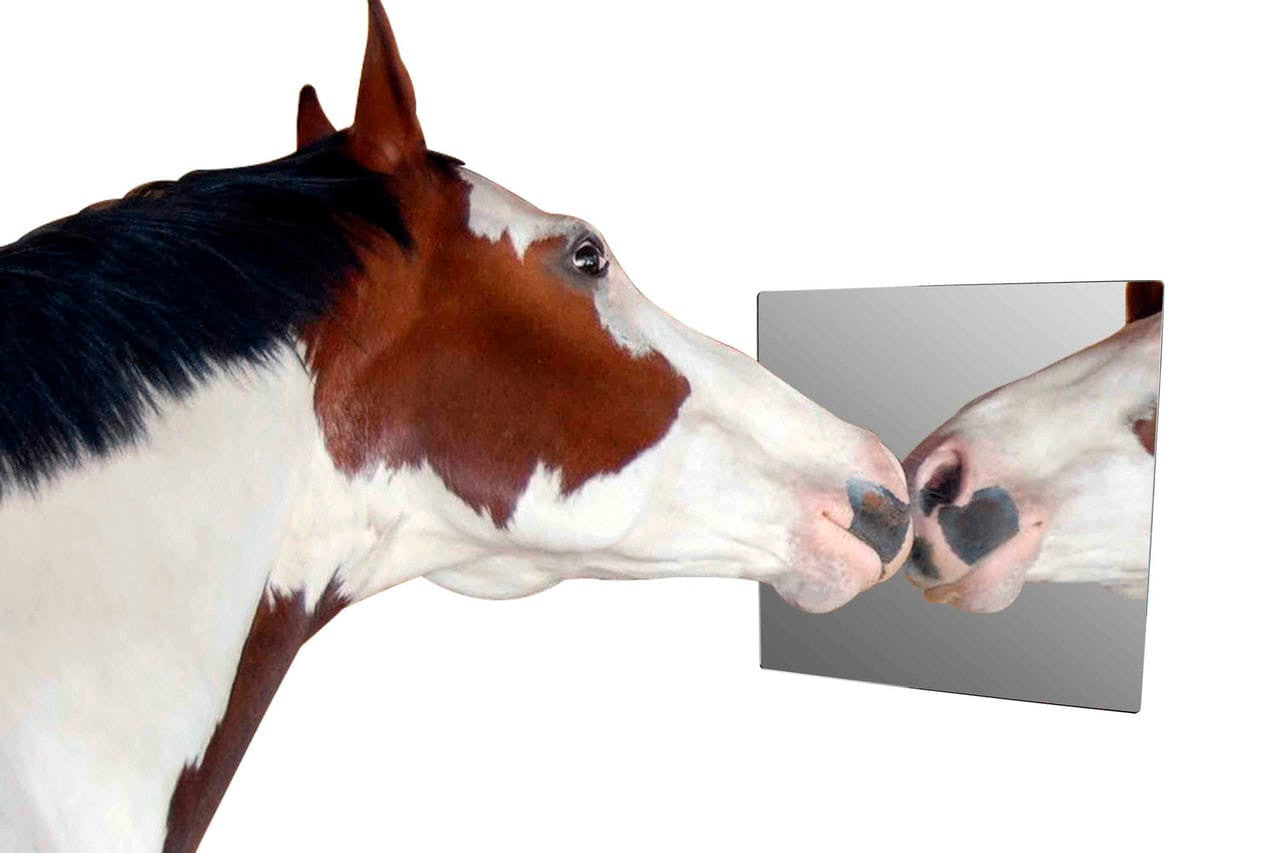 10" x 10" Acrylic Mirror Sheet for Replacement or DIY Crafts