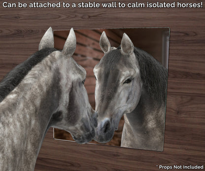 9" x 9" Acrylic Mirror Sheet for Replacement or DIY Crafts