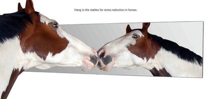 12" x 48" Acrylic Mirror Sheet for Replacement Glass Mirrors