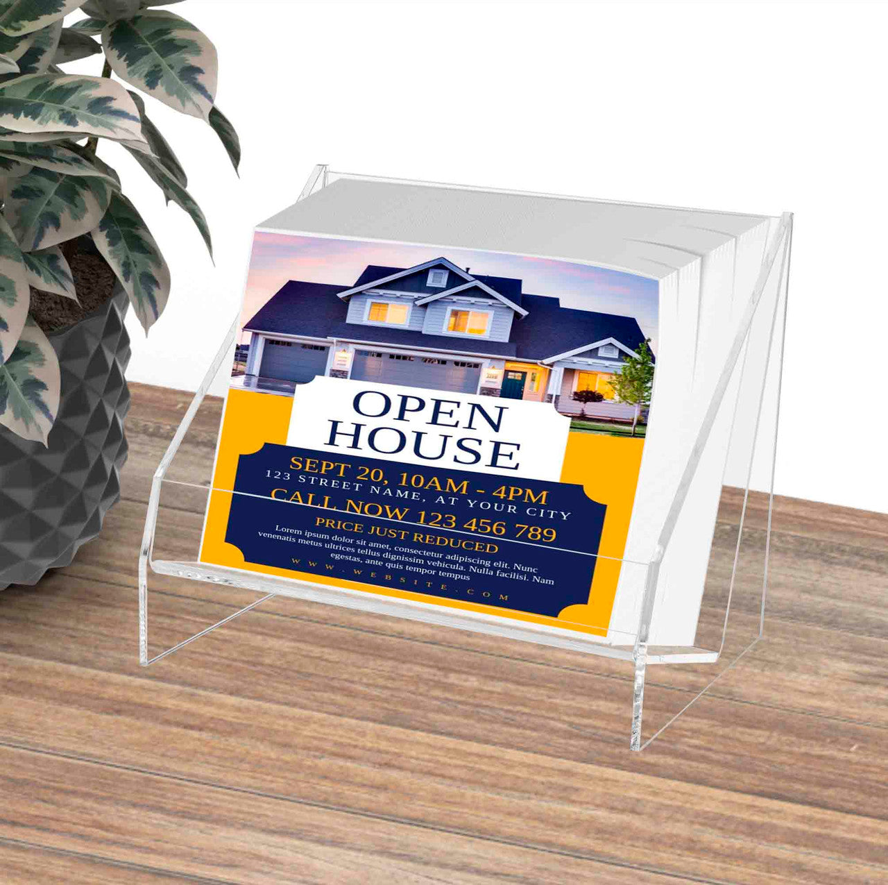 CD DVD Holder Countertop 5.75"W Multimedia Display Bin