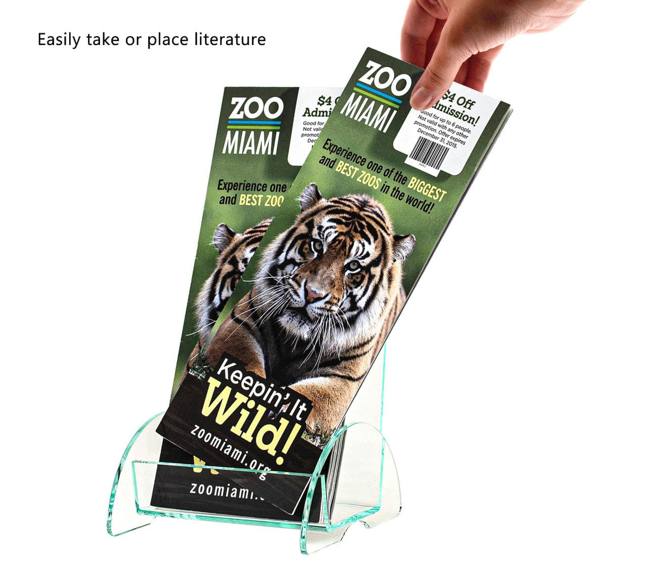 4"W Euro Style Trifold Brochure Holder Countertop Display